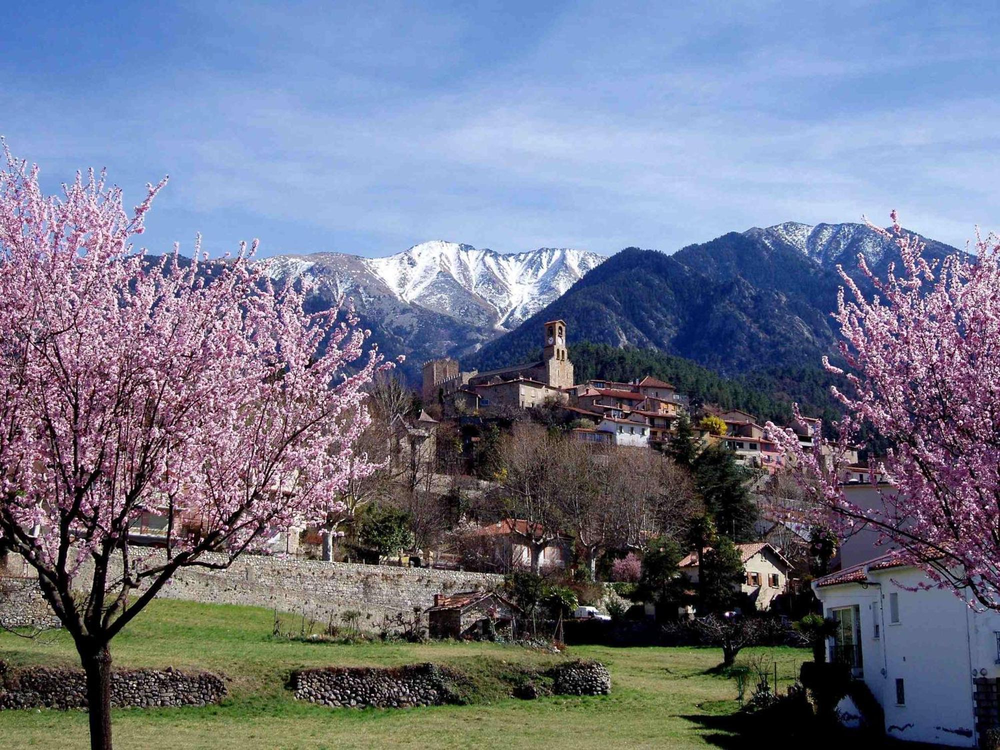 Hotel Les Sources Vernet-les-Bains Buitenkant foto